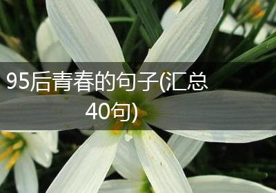 95后青春的句子(汇总40句)