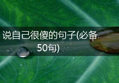 说自己很傻的句子(必备50句)