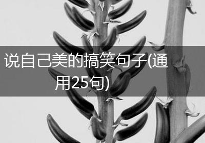 说自己美的搞笑句子(通用25句)
