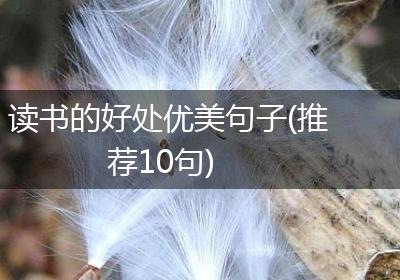 读书的好处优美句子(推荐10句)