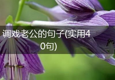 调戏老公的句子(实用40句)