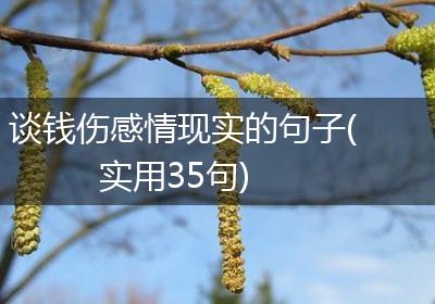 谈钱伤感情现实的句子(实用35句)