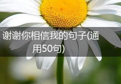 谢谢你相信我的句子(通用50句)