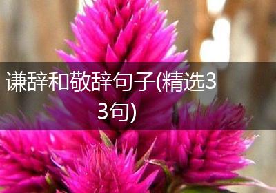 谦辞和敬辞句子(精选33句)