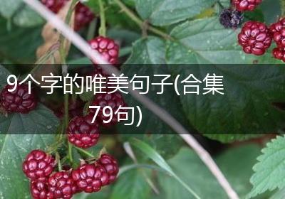 9个字的唯美句子(合集79句)