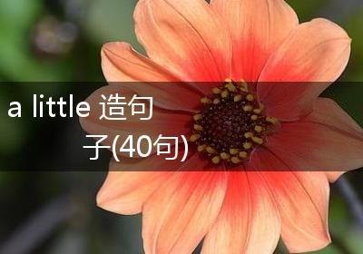 a little 造句子(40句)