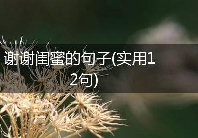 谢谢闺蜜的句子(实用12句)