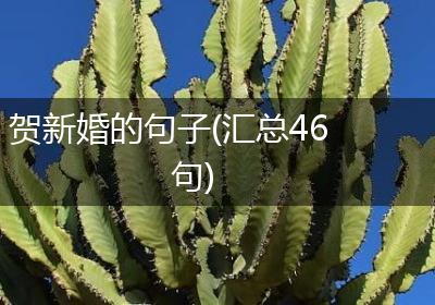 贺新婚的句子(汇总46句)