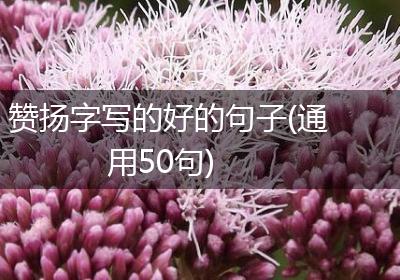 赞扬字写的好的句子(通用50句)