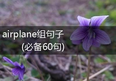 airplane组句子(必备60句)