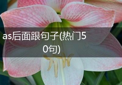 as后面跟句子(热门50句)