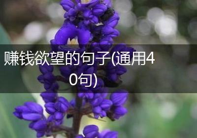 赚钱欲望的句子(通用40句)