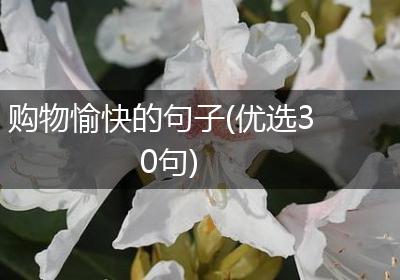 购物愉快的句子(优选30句)