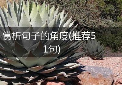 赏析句子的角度(推荐51句)