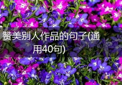 赞美别人作品的句子(通用40句)
