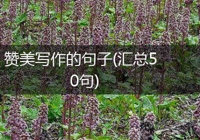 赞美写作的句子(汇总50句)