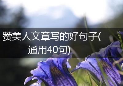 赞美人文章写的好句子(通用40句)