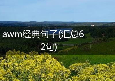 awm经典句子(汇总62句)
