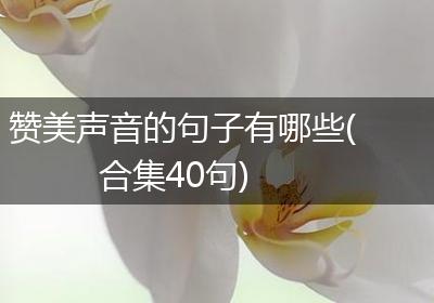 赞美声音的句子有哪些(合集40句)