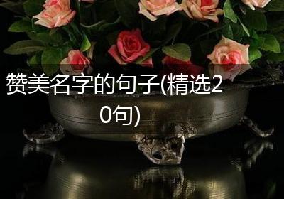 赞美名字的句子(精选20句)