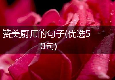 赞美厨师的句子(优选50句)