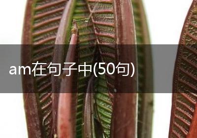 am在句子中(50句)