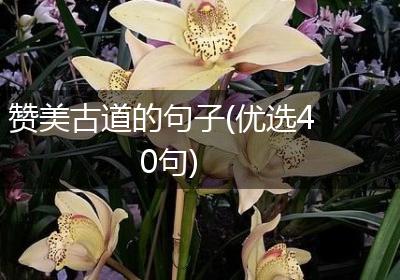 赞美古道的句子(优选40句)
