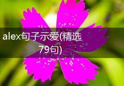 alex句子示爱(精选79句)