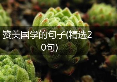 赞美国学的句子(精选20句)
