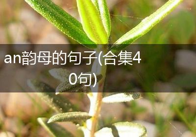 an韵母的句子(合集40句)