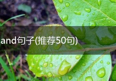 and句子(推荐50句)