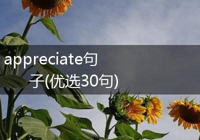 appreciate句子(优选30句)