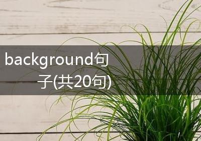 background句子(共20句)