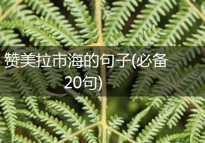 赞美拉市海的句子(必备20句)