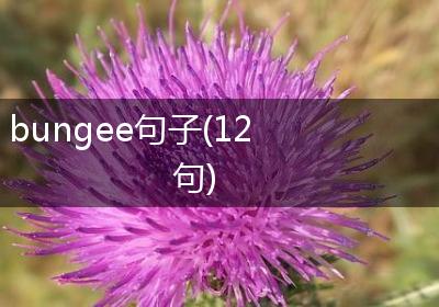 bungee句子(12句)