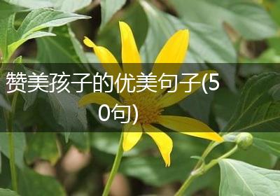赞美孩子的优美句子(50句)
