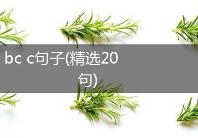 bc c句子(精选20句)