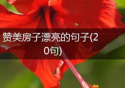 赞美房子漂亮的句子(20句)