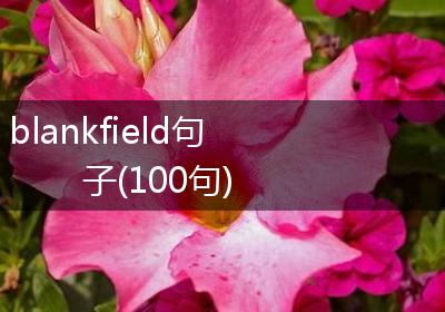 blankfield句子(100句)