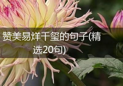 赞美易烊千玺的句子(精选20句)