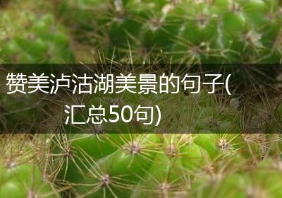 赞美泸沽湖美景的句子(汇总50句)