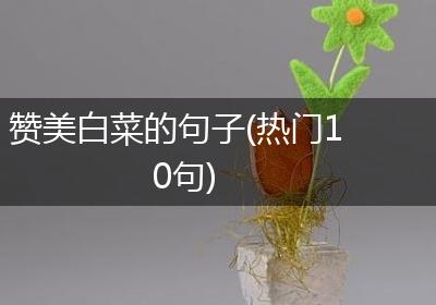 赞美白菜的句子(热门10句)