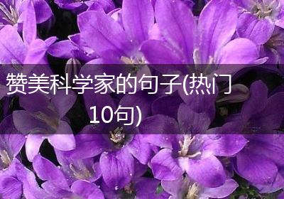 赞美科学家的句子(热门10句)