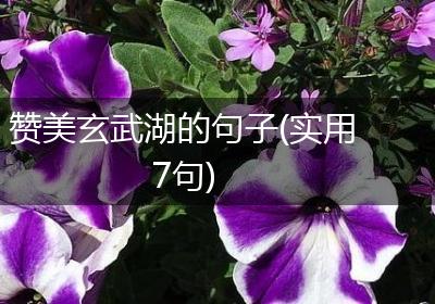 赞美玄武湖的句子(实用7句)