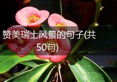 赞美瑞士风景的句子(共50句)