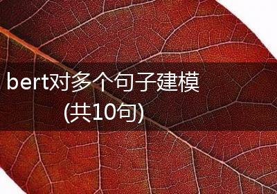 bert对多个句子建模(共10句)