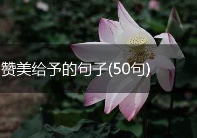 赞美给予的句子(50句)