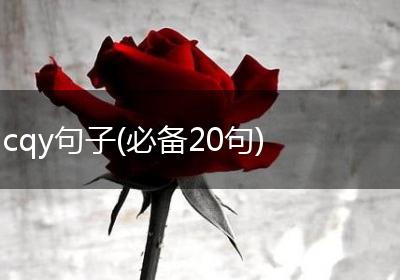 cqy句子(必备20句)