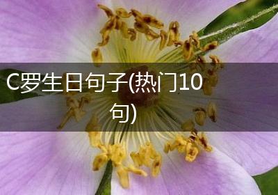 C罗生日句子(热门10句)
