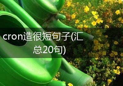 cron造很短句子(汇总20句)